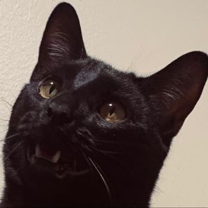 Meet your Posher, Nathan